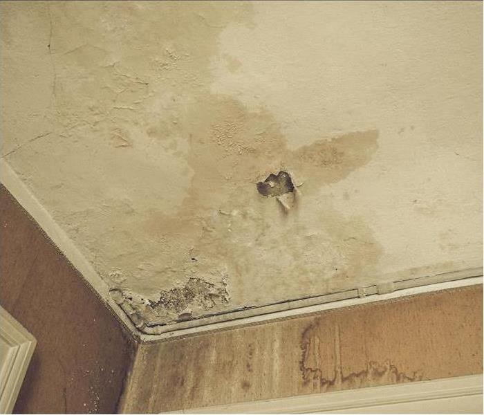 Vintage looking Damage caused by damp and moisture on a ceiling