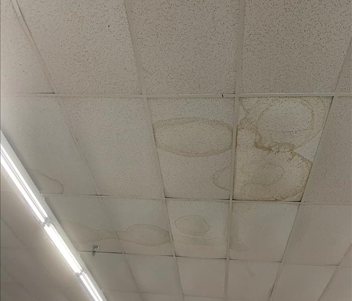 Water stains on ceiling tiles.